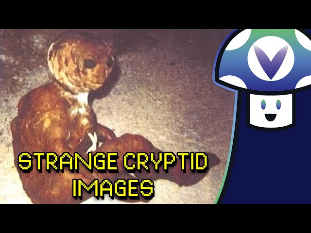 Vinny looks at Strange Cryptid Images