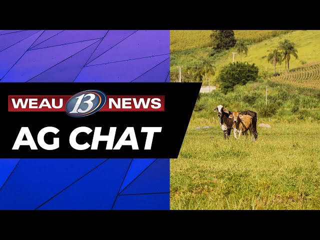 AG Chat with Kristin Smith 6/3/24