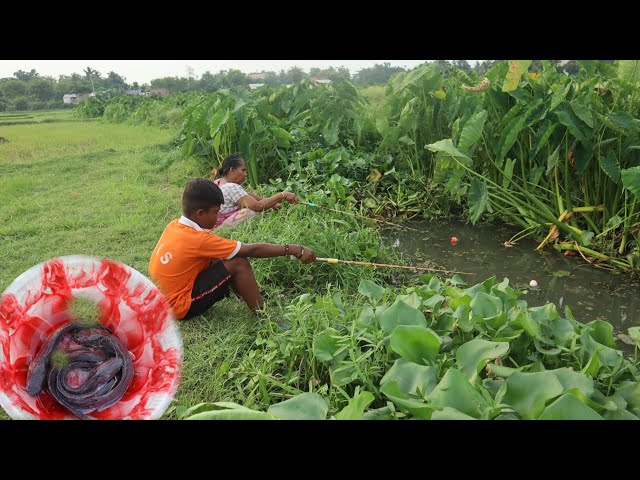 Unbelievable fishing video 🐠 🐬 || A smart boy & his grandma fishing in canal || Best fishing 2024 🎣