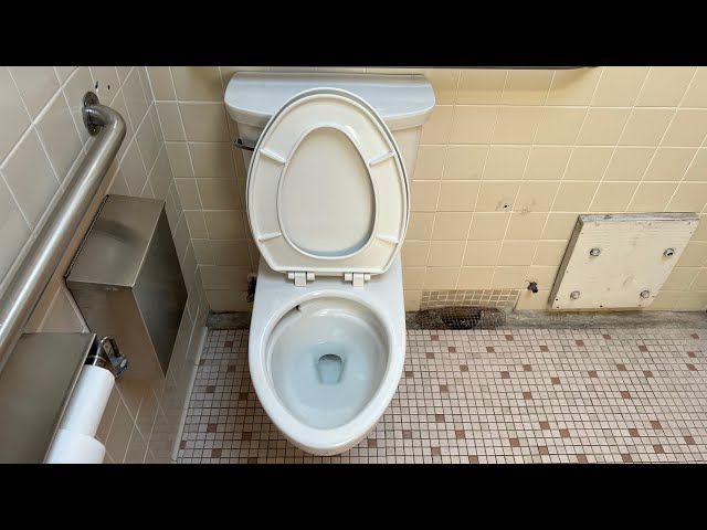 Newer American Standard VorMax Glenwall Toilet