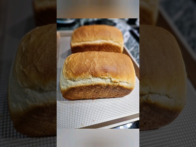 Homemade Bread (Agege bread at home)