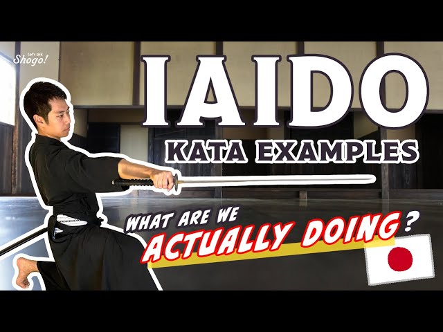 3 IAIDO Kata Demonstrations and What Each Movement Means | Introductory Katana Training for Starters