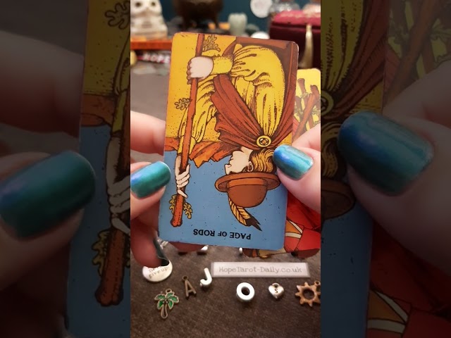 Current Feelings of the person on your mind! | Timeless Tarot Card Reading