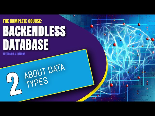 About Data Types | Backendless Database Training Course (pt. 2)
