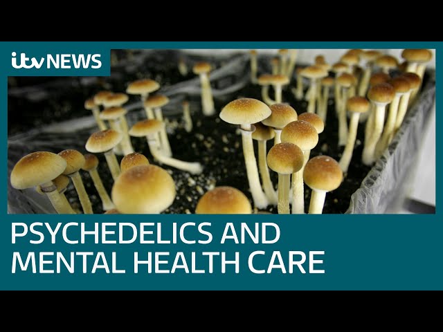 Could psychedelic drugs revolutionise mental health care in the UK? | ITV News