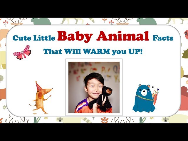 Cute Little Baby Animal Facts That Will WARM you UP