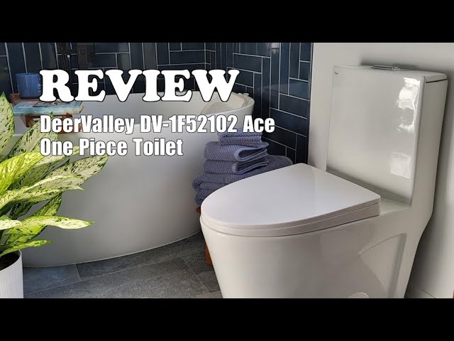 DeerValley DV-1F52102 Ace One Piece Toilet - Review 2024