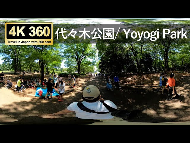 【Japan walk 4K】Yoyogi Park 代々木公園を散策します【360°VR goggles】【ASMR】
