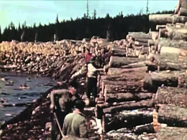 1950s Sawmill Workers Educational Documentary - Timber In The Northeast - CharlieDeanArchives