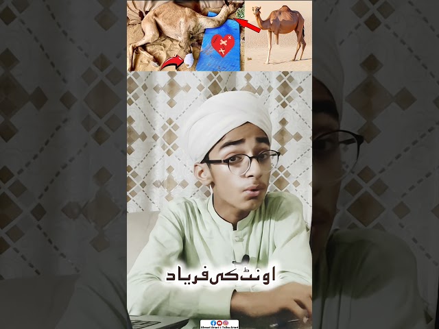 Oont ki tang kat di | Sindh oont ka waqia | Muhammad Ahmad Attari | Camel leg cut incident | Qurbani
