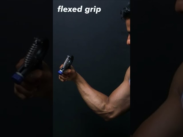 5 Grips To Try With Hand Gripper( VEIN GAINS )
