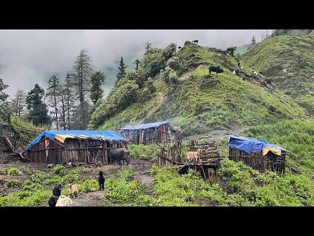 Poor but Very Happy Lifestyle of Mountain Village People || Rainy Season Compilation || IamSuman