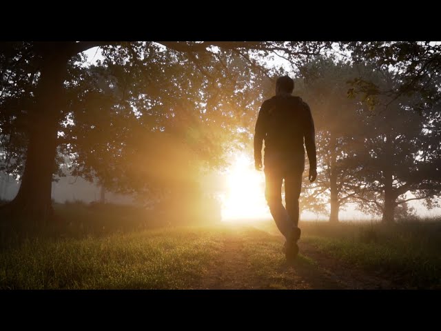 Man Walking Along | Free Footage - Videos for content creators