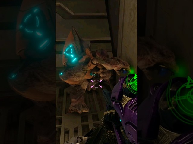 Hunting a Grunt ‐ Halo 2
