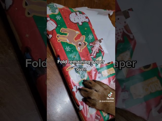 Kuno the Servicerottie gives a gift wrapping tutorial