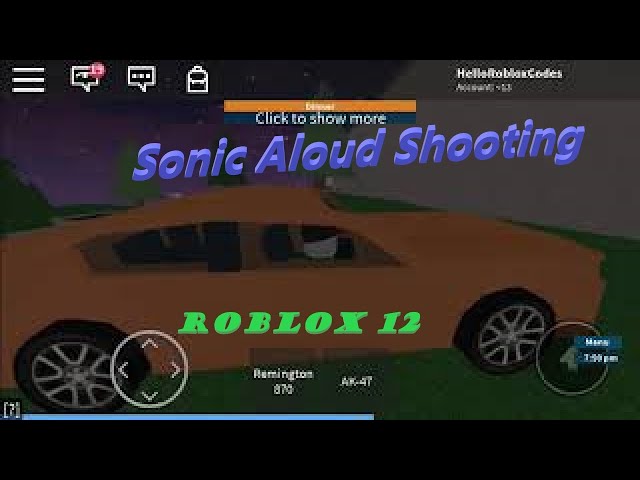 Sonic Aloud Shooting - Hedgehog alike Prisoner - Roblox 12.