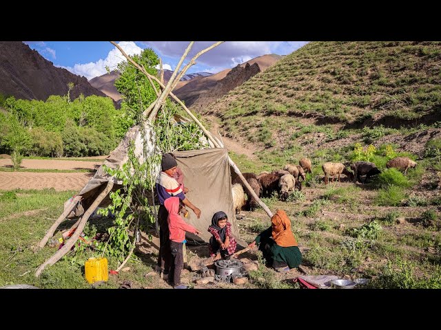 Shepherds Milking and Baking Bread in Nature | Village Life Afghanistan