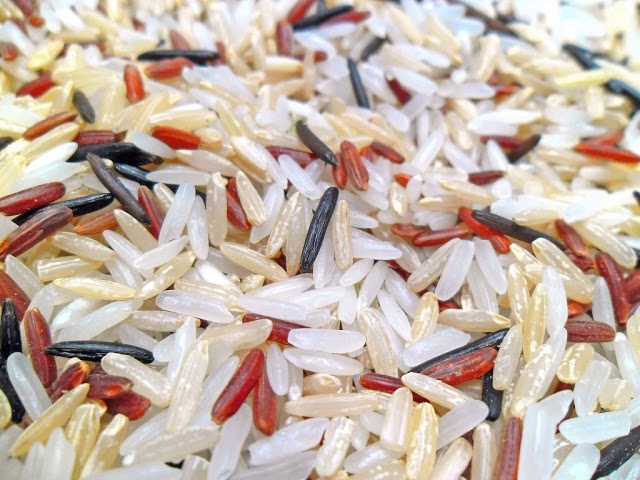 Rice | Wikipedia audio article