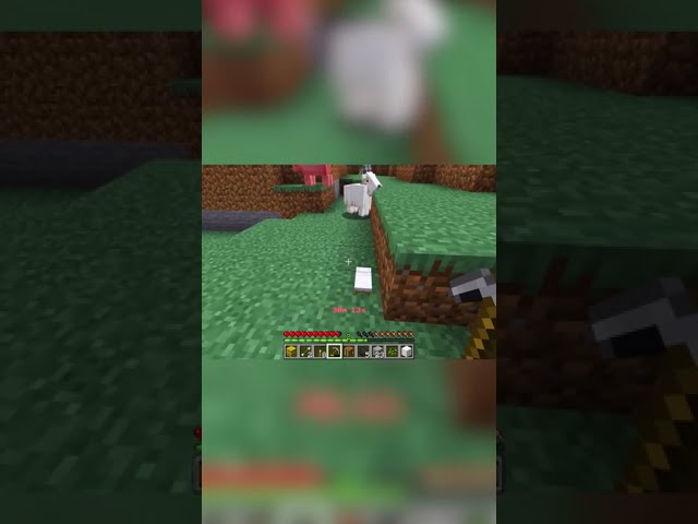 That RAM just RAMMED ME in Minecraft