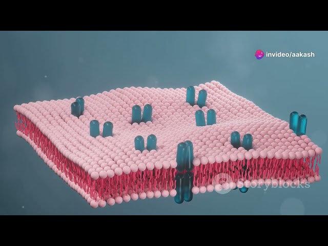 Cell Wall and Plasma Membrane | Lecture in Hindi | Educational World
