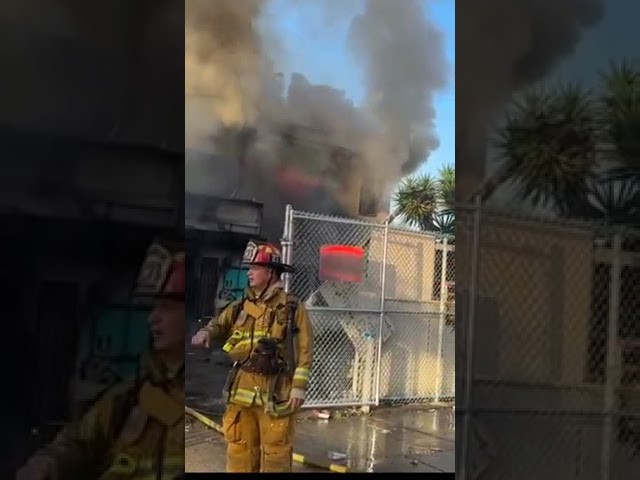 Hollywood Structure Fire Leaves One Patient Burned, One Dog Dead