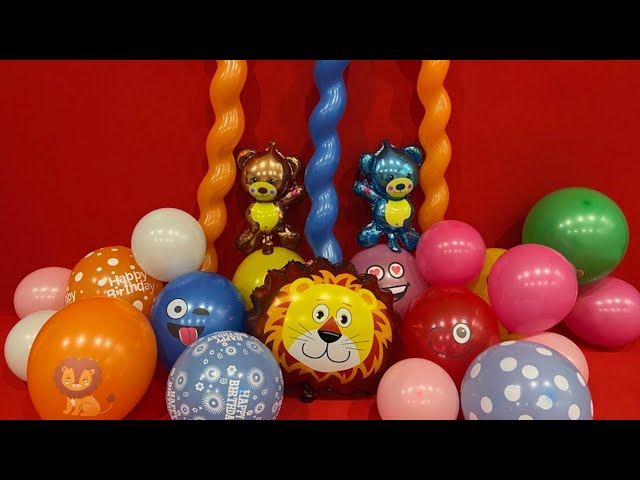FUN HAPPY BIRTHDAY BALLOON POPPING #sounds #popping #subscribe #like #balloons #satisfying