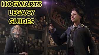 Hogwarts Legacy How To, Guides, And Glitches