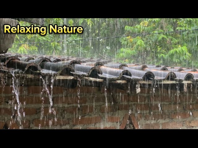 Atasi Setres Tidur Seketika dengan Hujan Deras & Guntur Di Rumah Kecil Tengah Hutan, Relaxing Nature