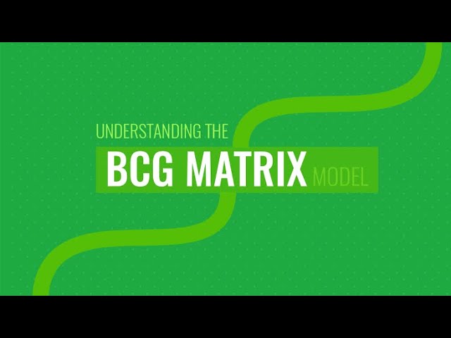 BCG MATRIX ( Best explanation in Hindi ).