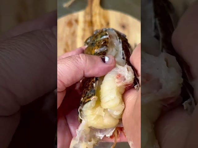 How To Prepare a Lobster Tail #shorts