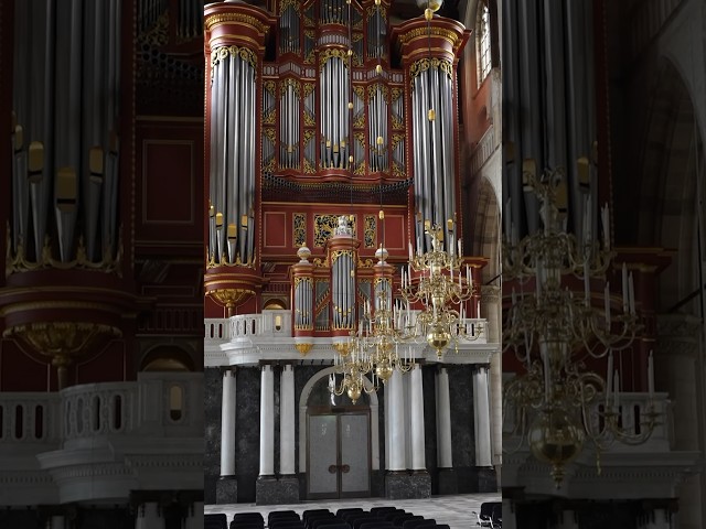 The BEST Wedding Music Ever? #organ #music #church #classicalmusic #wedding #musician