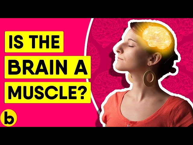 Is The Brain A Muscle?