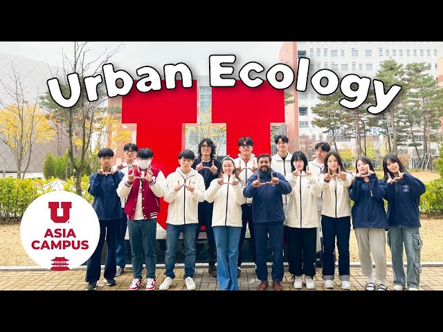 Exploring Urban Ecology Major at the U Asia Campus