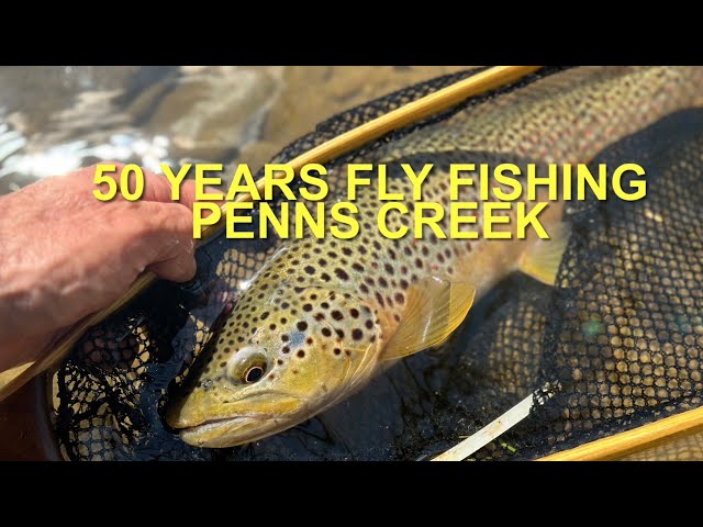 50 Years Fly Fishing Penns Creek