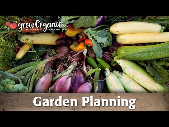 Garden Planning: Crop Rotation, Succession Planting & More