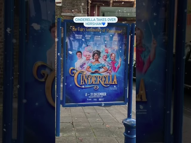 Spotted: Cinderella in Horsham #shorts #pantomime #travel #cinderella #local #banner #ad