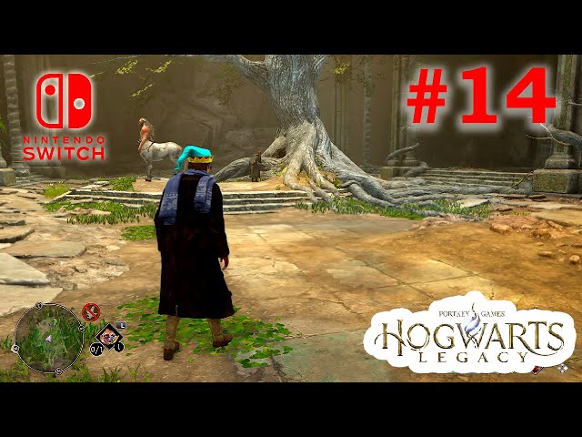 Hogwarts Legacy Nintendo Switch Gameplay Walkthrough Part 14