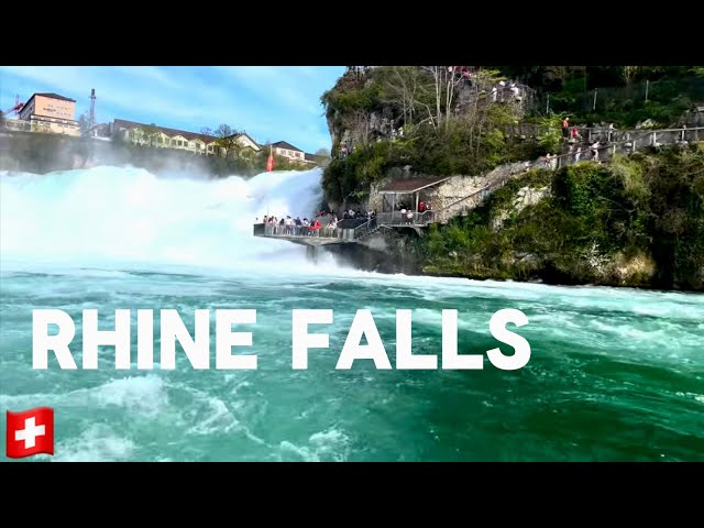 Rhine Falls 🇨🇭Switzerland || Boat Tours || Travel guide