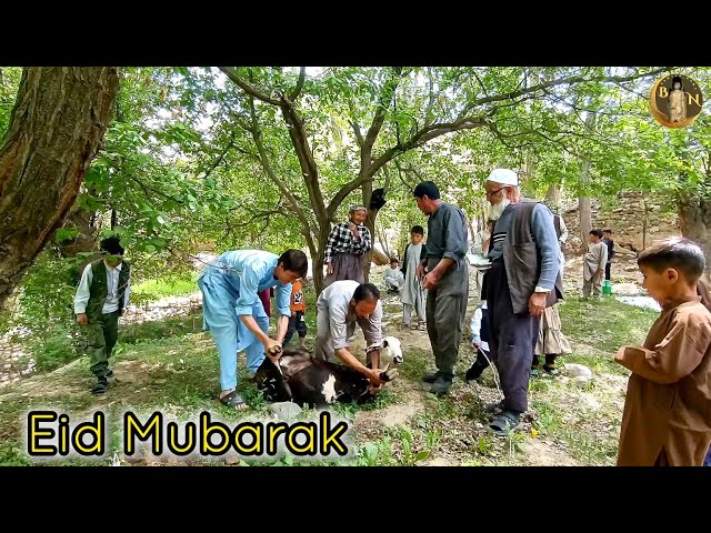 Eid al-Adha Mubarak customs and traditions in the villages