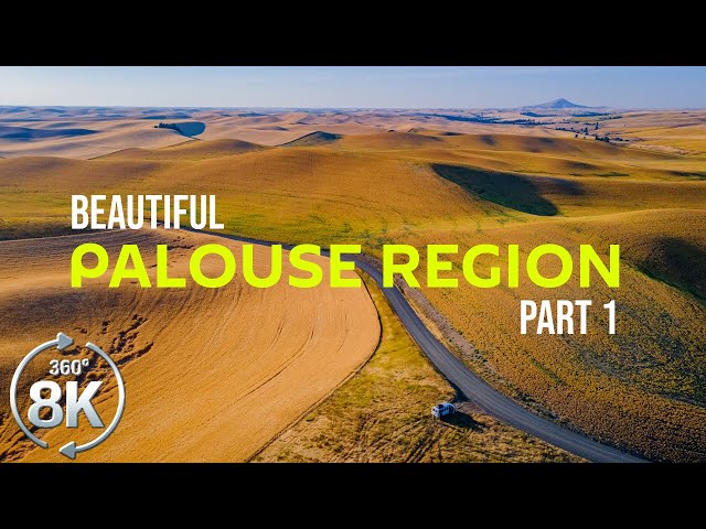 360° VR Relaxation - Sounds from a Field of Palouse Region,  Eastern Washington - Part #1