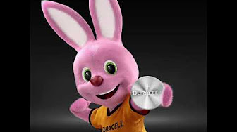 Duracell energizer