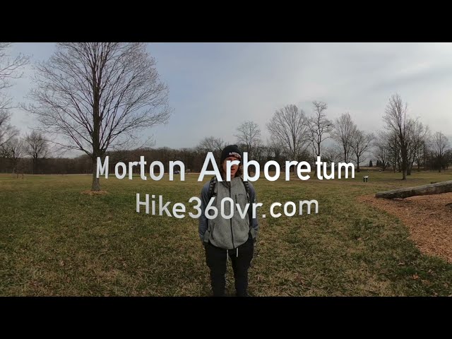 Morton Arboretum - The Oaks (Hike 360° VR Video)