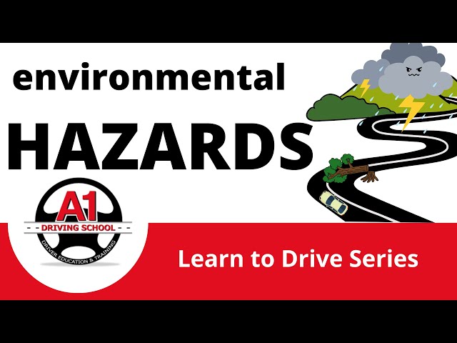 Eps 65: Environmental Hazard Driving Tips | A1 Driving School NZ