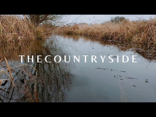 The Countryside | Cinematic short B roll