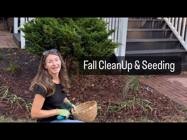 Fall cleanup and seeding