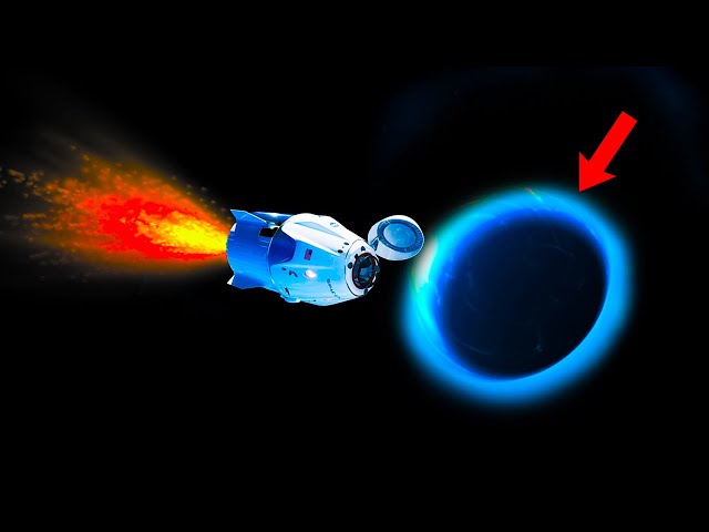 How to Survive a Black Hole