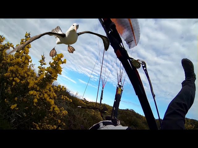 Flug des Albatros - Funny crashes Paragliding
