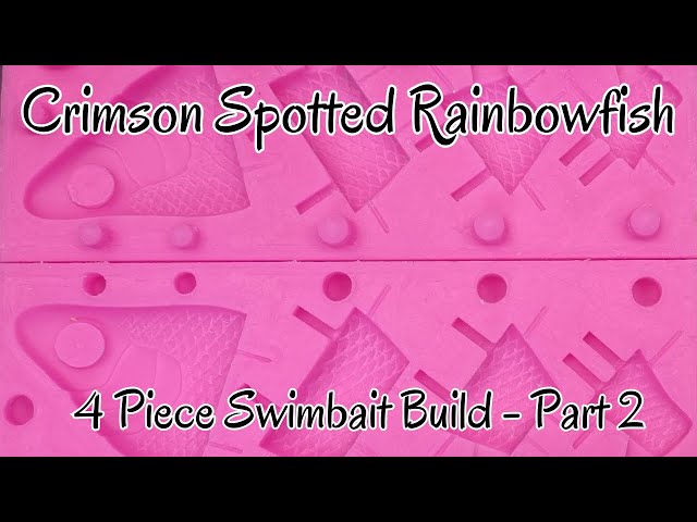 4 Piece Swimbait Build - Crimson Spotted Rainbowfish - Part 2 - The Silicone Mold