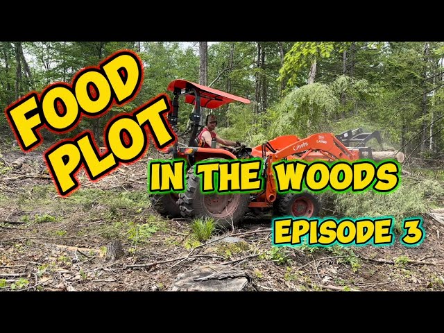 (Ep 3) Big Woods Food Plot - Chainsaw, Kubota, and Grapple Moving Logs and Brush (Episode 3)