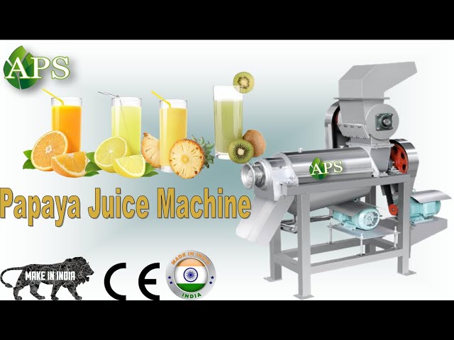 Commercial Type Juice Extractor Stainless Steel Juicer Machine